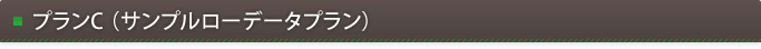 プランC（サンプルローデータプラン）